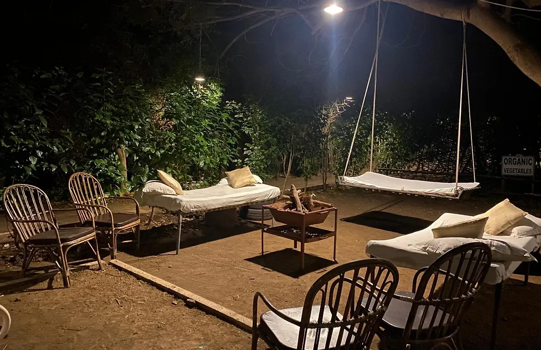 Asiatic Lion Lodge-1